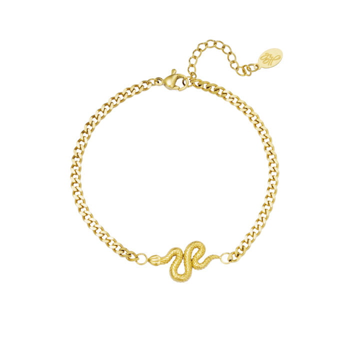 Shiny Serpent Armband