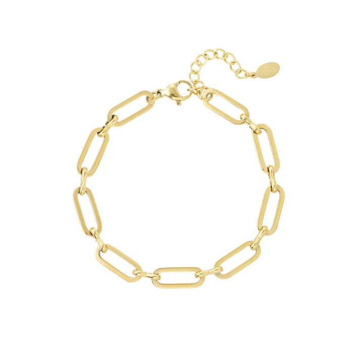 Schakel Armband